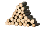 Polena 33 cm měkké dřevo jehličnaté