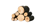 Polena 33 cm měkké dřevo listnaté