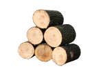 Polena 50 cm měkké dřevo listnaté